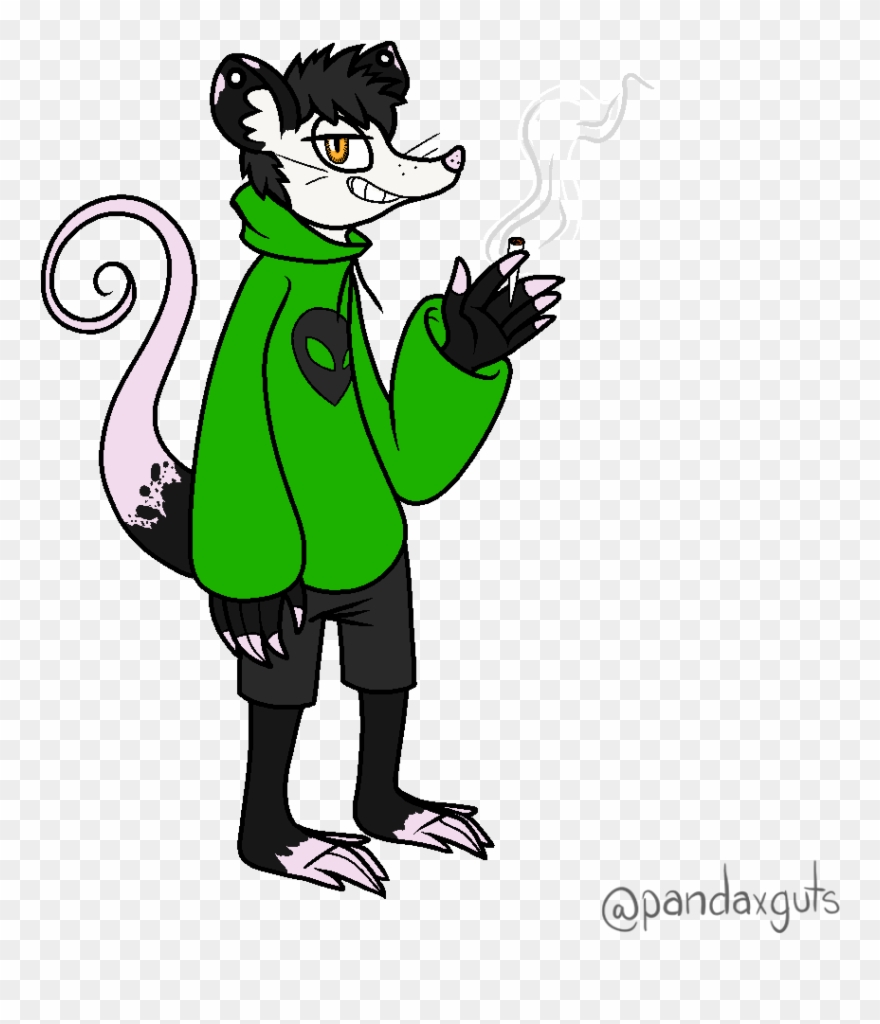 Alex The Possum - Furry Fandom Clipart