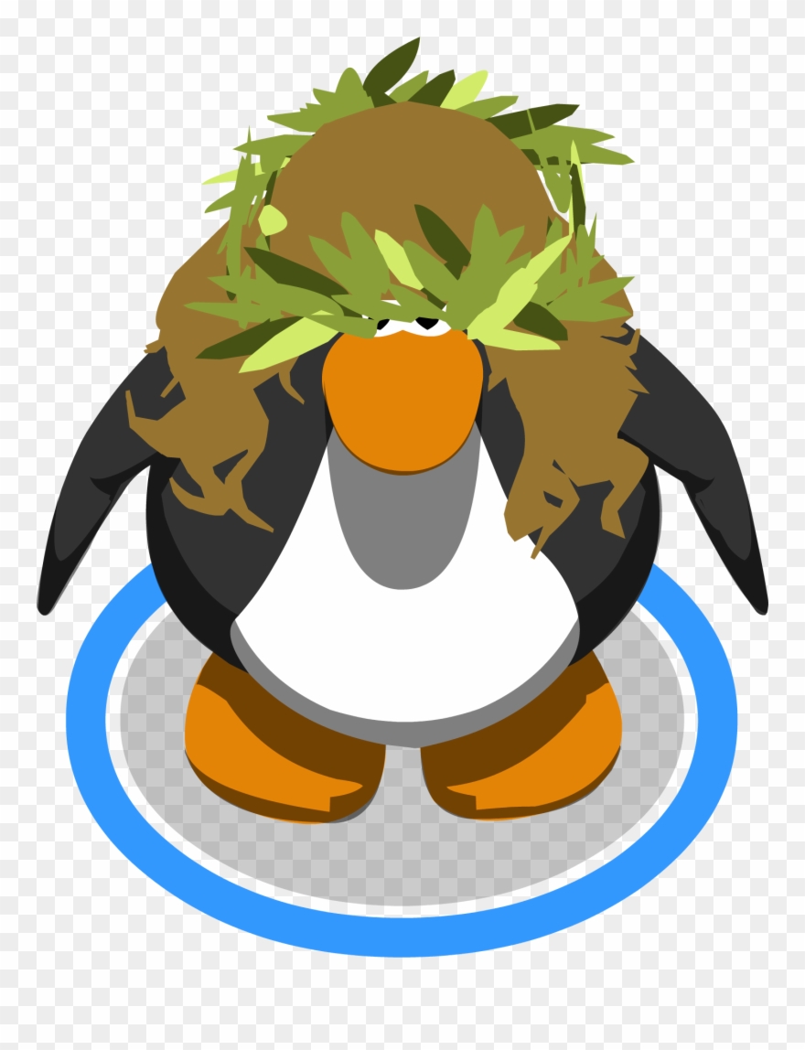 The Melon Head In-game - Club Penguin Sombrero Png Clipart