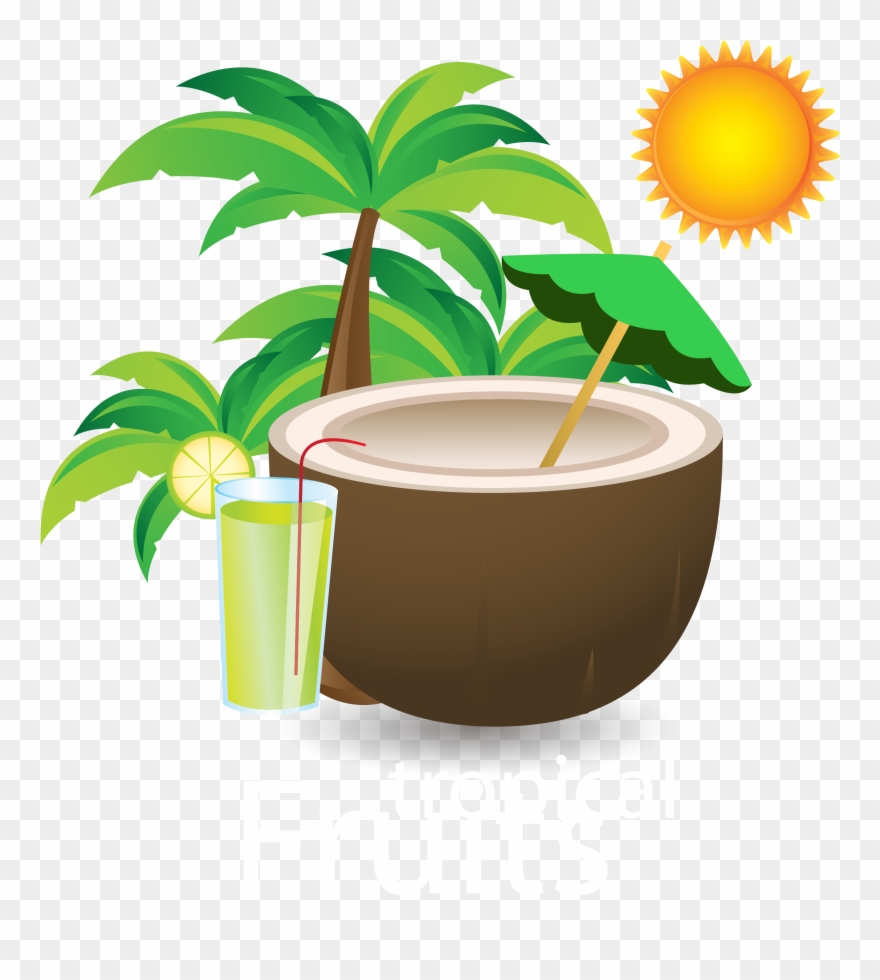 Banner Freeuse Library Download Drink Material Transprent - Benefit Of Coconut Water For Baby Vector Clipart