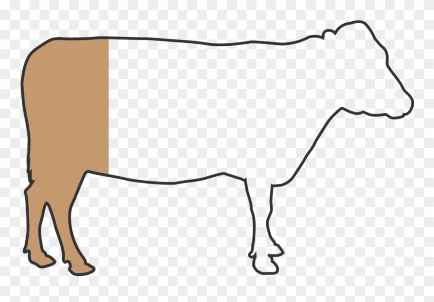 1/4 Clipart