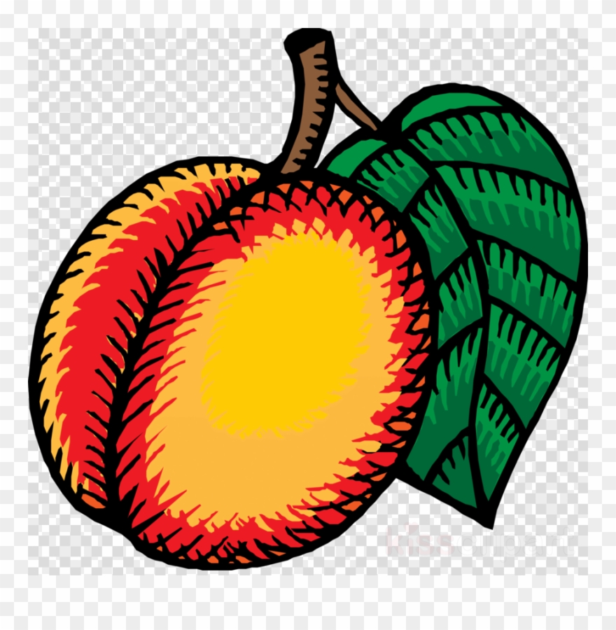 Nectarine Clip Art Clipart Clip Art - Nectarines Clipart - Png Download