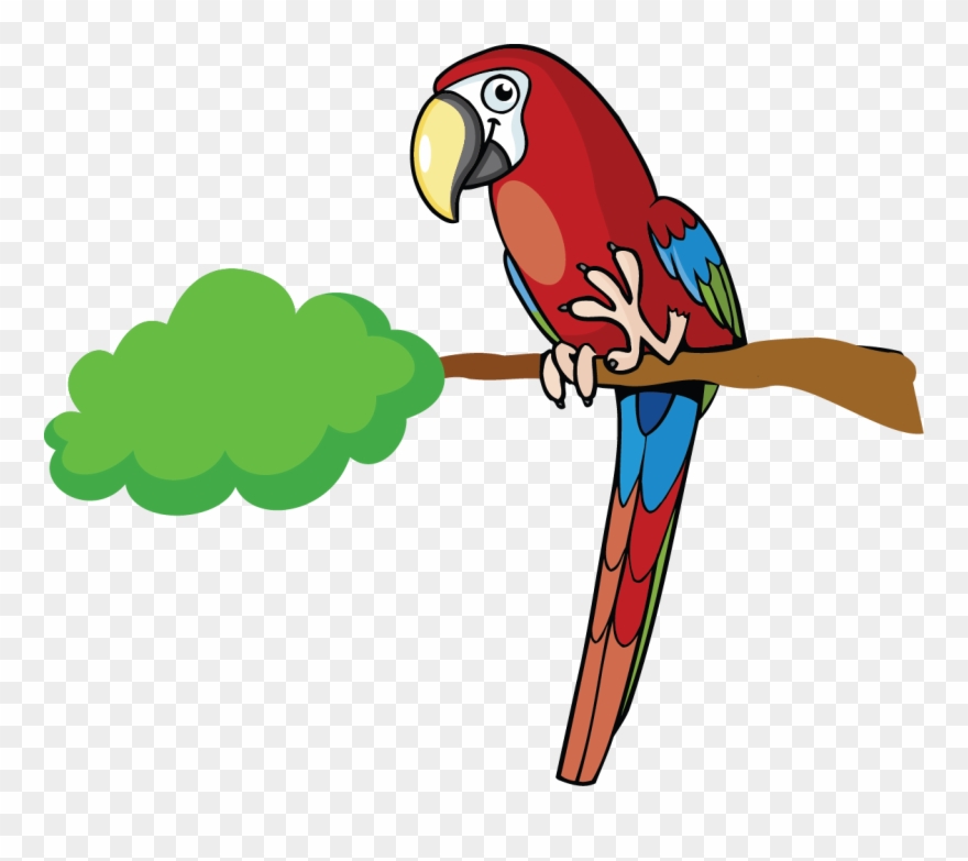 Description For Macaw - Macaw Clipart