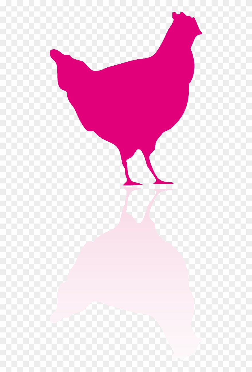 Adiavet™ Avian - Chicken And Egg Silhouette Clipart