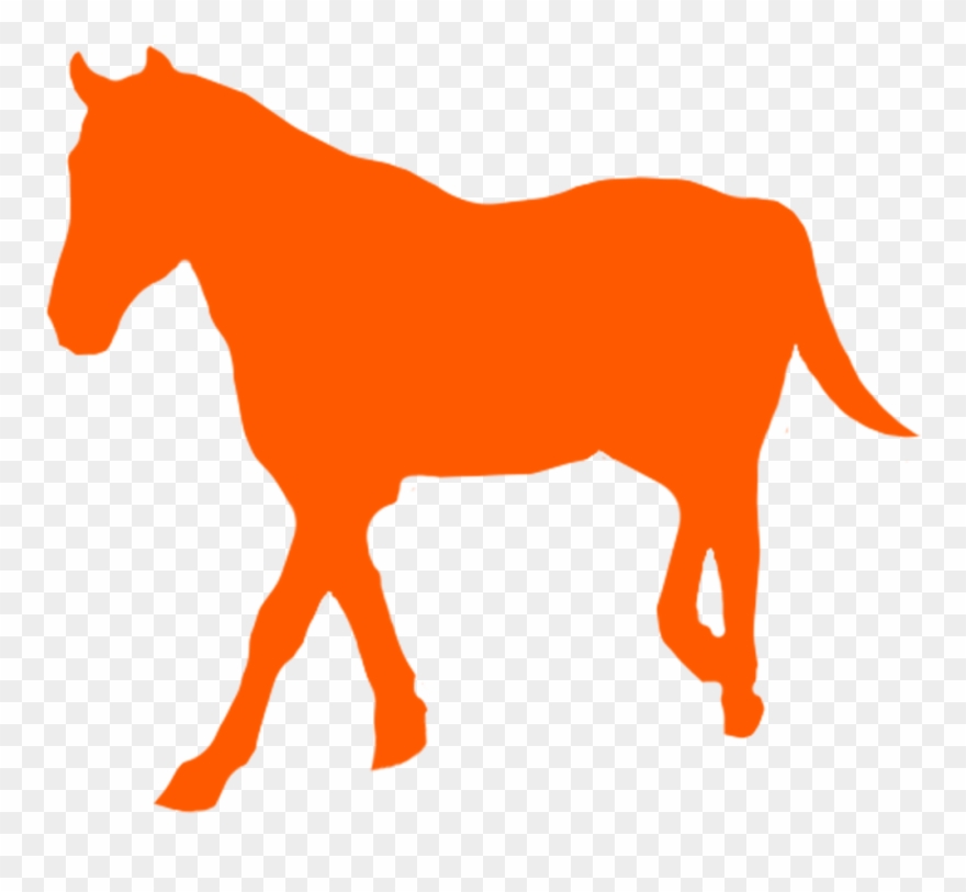 Trail Ride Clip Art Png Download (1591545) PinClipart