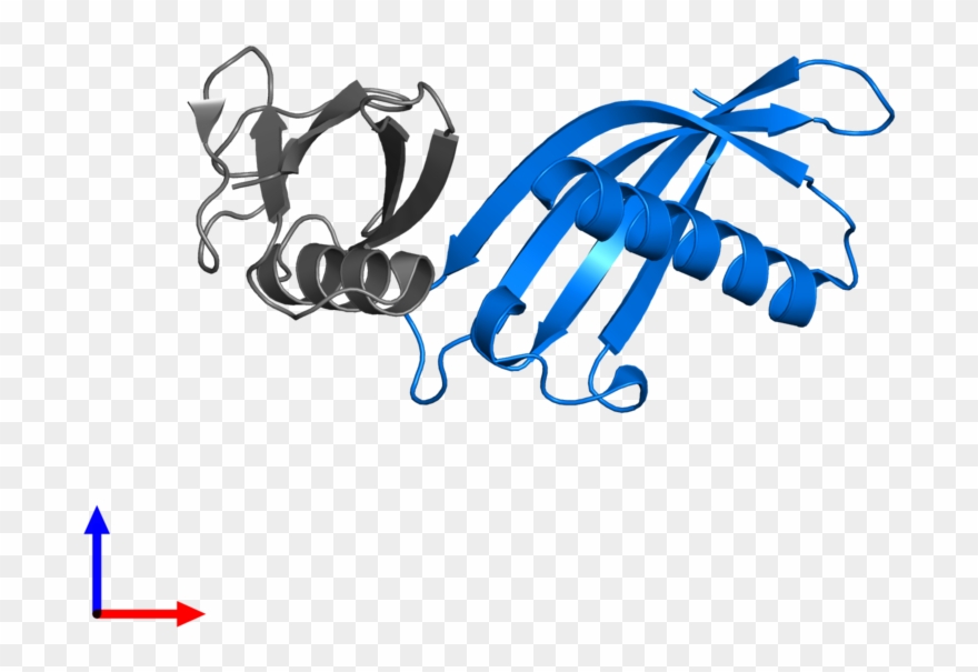 <div Class='caption-body'>pdb Entry 5elj Contains 1 - Illustration Clipart