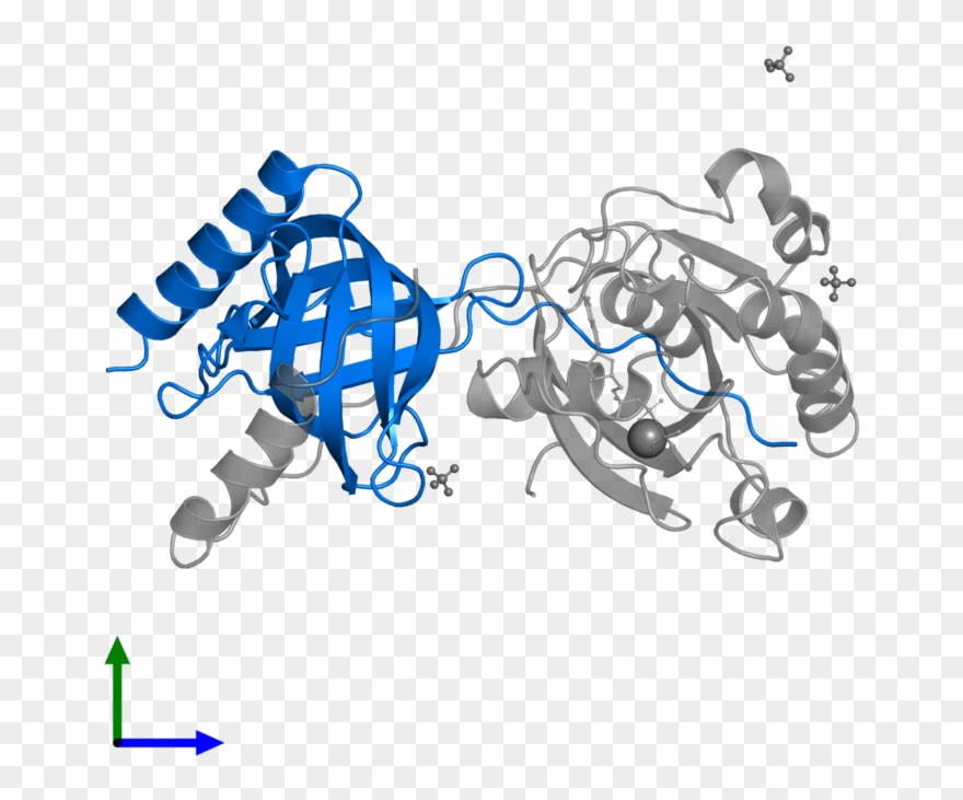 Uracil-dna Glycosylase Clipart