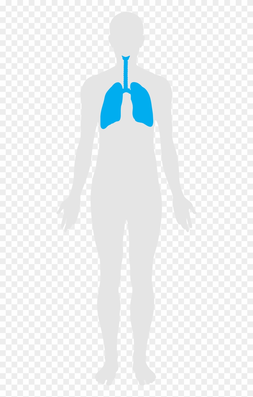 Fitness Features Help To Improve Lung Function And - Klinikum Osnabrück Gmbh Clipart