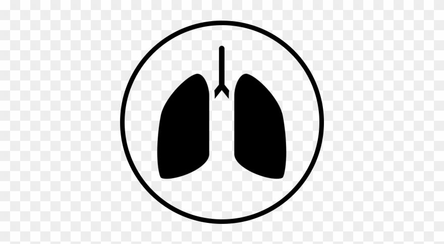 Respiration Rate - Mobirise Clipart