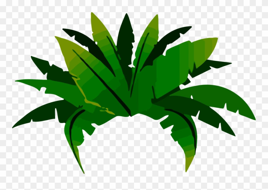 Computer Icons Banana Surf Shop Coffee Botany Palm - Jungle Kisspng Clipart