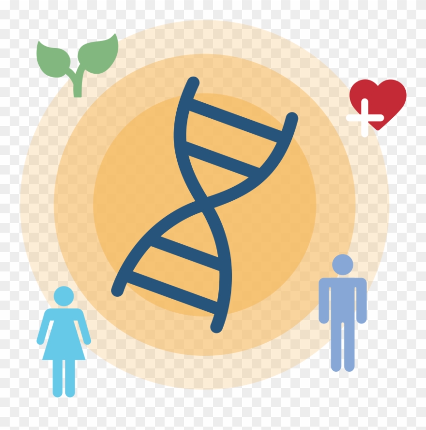 Of Human Animal Environmental Health, Incorporating - Gender Pay Gap Australia Statistics Clipart