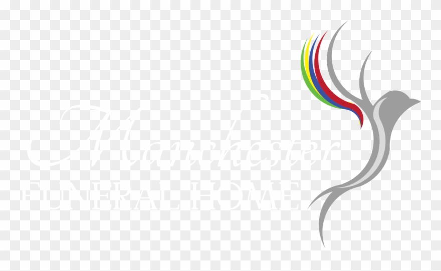 Site Image - Graphic Design Clipart