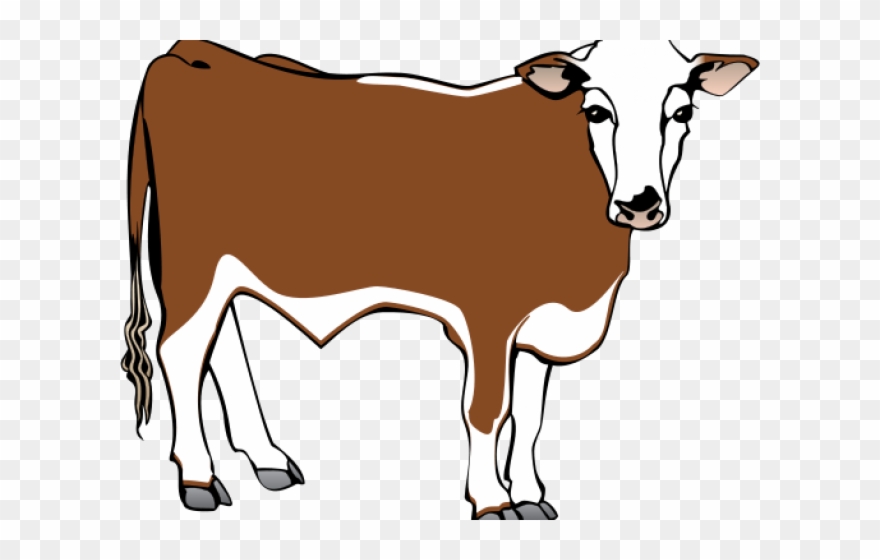 Clipart Freeuse Stock Cliparts X Carwad Net - Big Cow Coloring Pages - Png Download