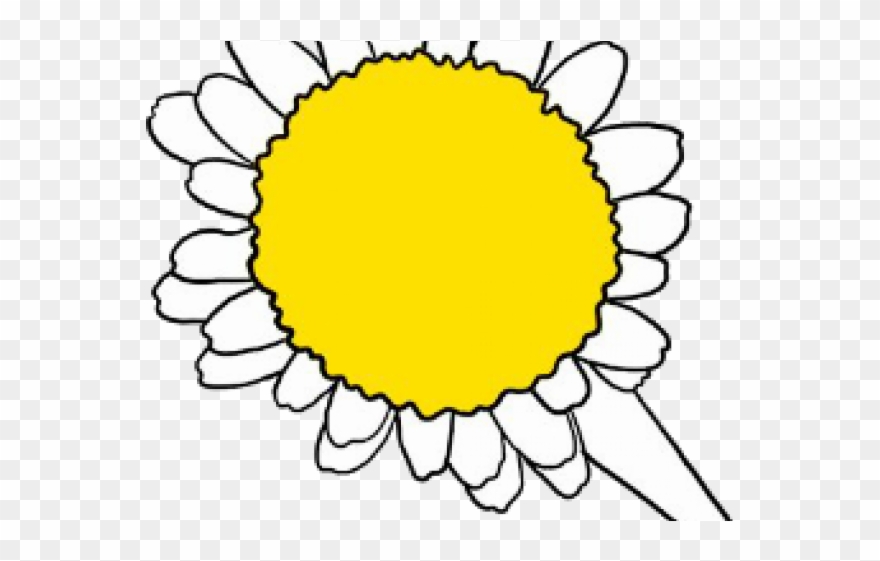 Daisy Clipart Living Thing - Sunflower - Png Download