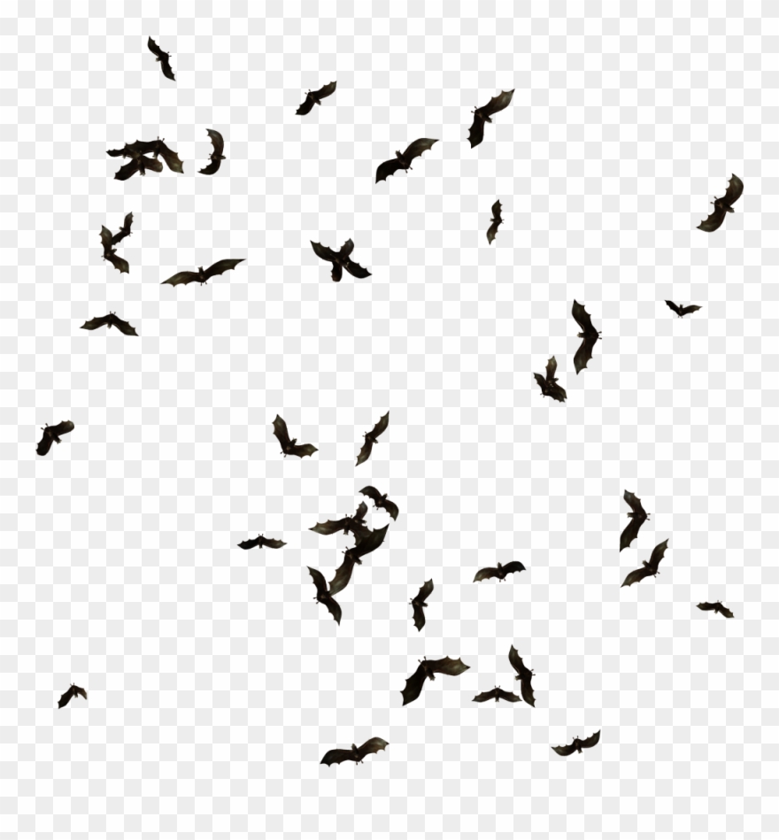 Swarm Of Bats Png Clipart