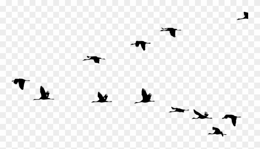 Flying Bird Png 1, Buy Clip Art - Flying Cranes Silhouette Transparent Png