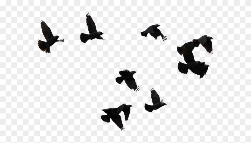 Materiais Para Capa Dark Png Clipart