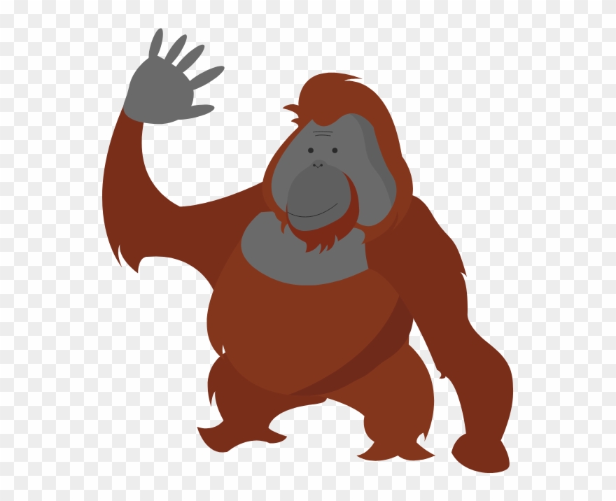 Orangutan Facts - - Cartoon Clipart