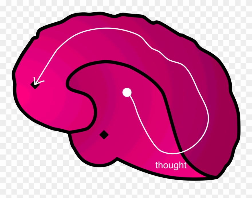 Outer Brain Thought Path Clipart