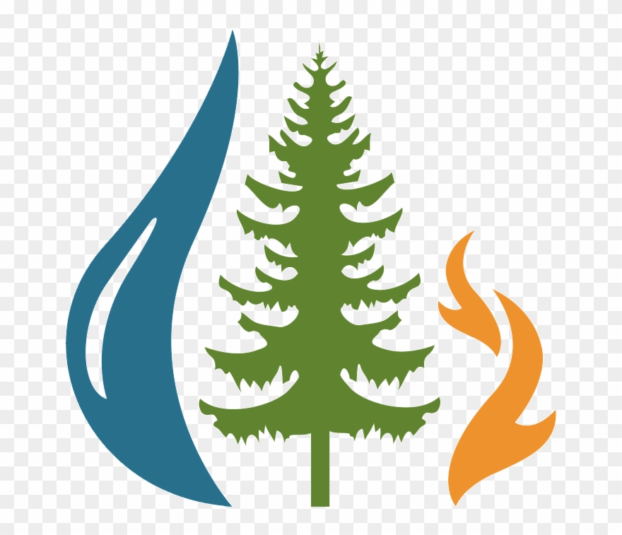 Its The First Day In A Long Time That We Received No - Tree So Tall [book] Clipart