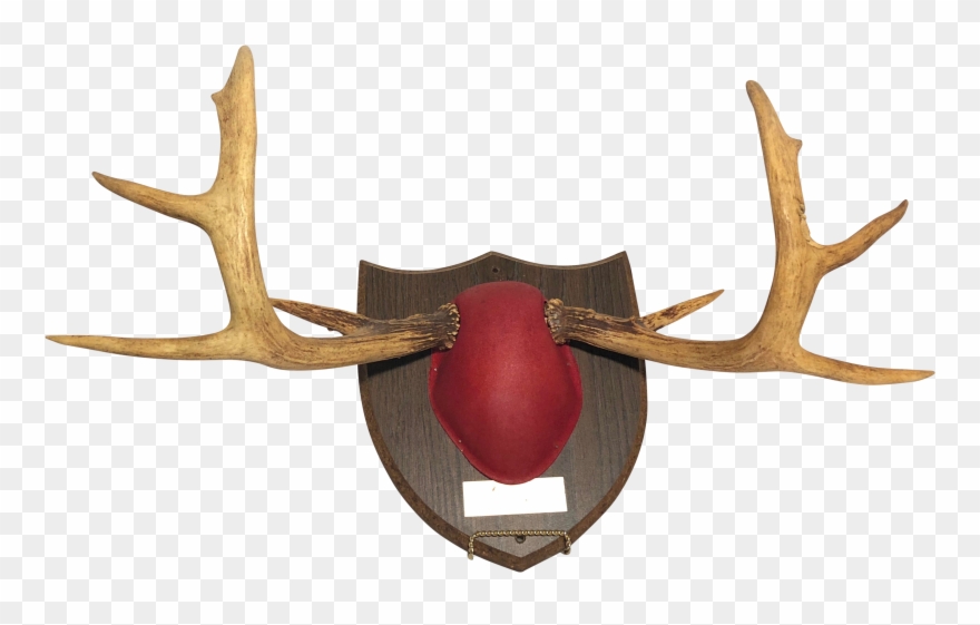 Elk Clipart