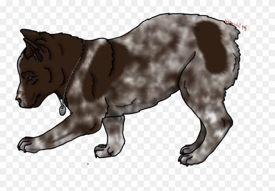 German Shepherd Gender - Jaguar Clipart