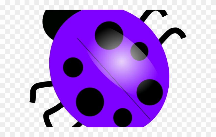 Purple Clipart Ladybug - Dibujo De Una Mariquita - Png Download