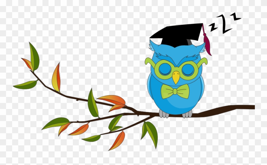 Bjps Reading Rules Week 3 D - Wise Eye Reading Academy Clipart