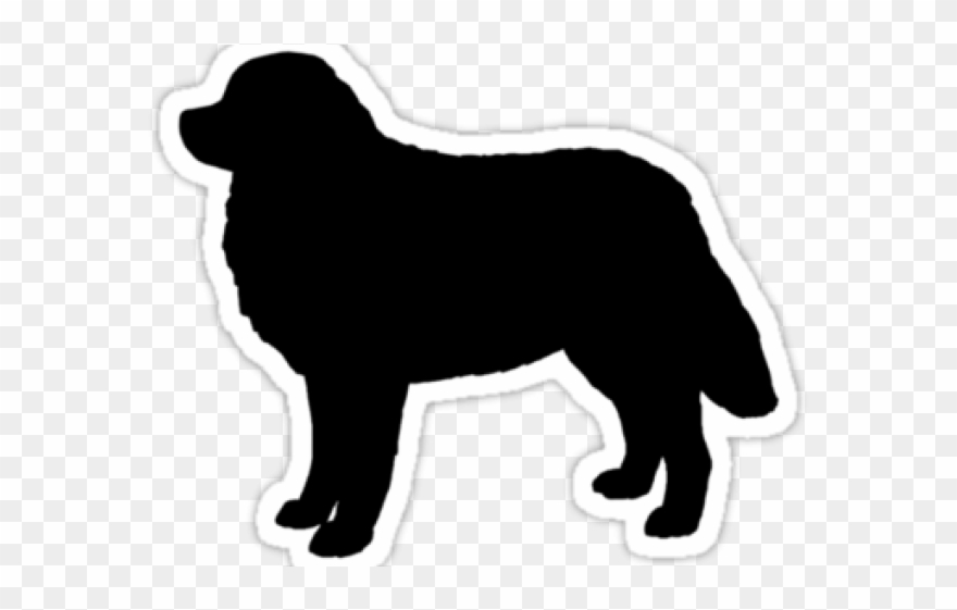 Bernese Mountain Dog Clipart Silhouette - Bernese Mountain Dog Silhouette Free - Png Download