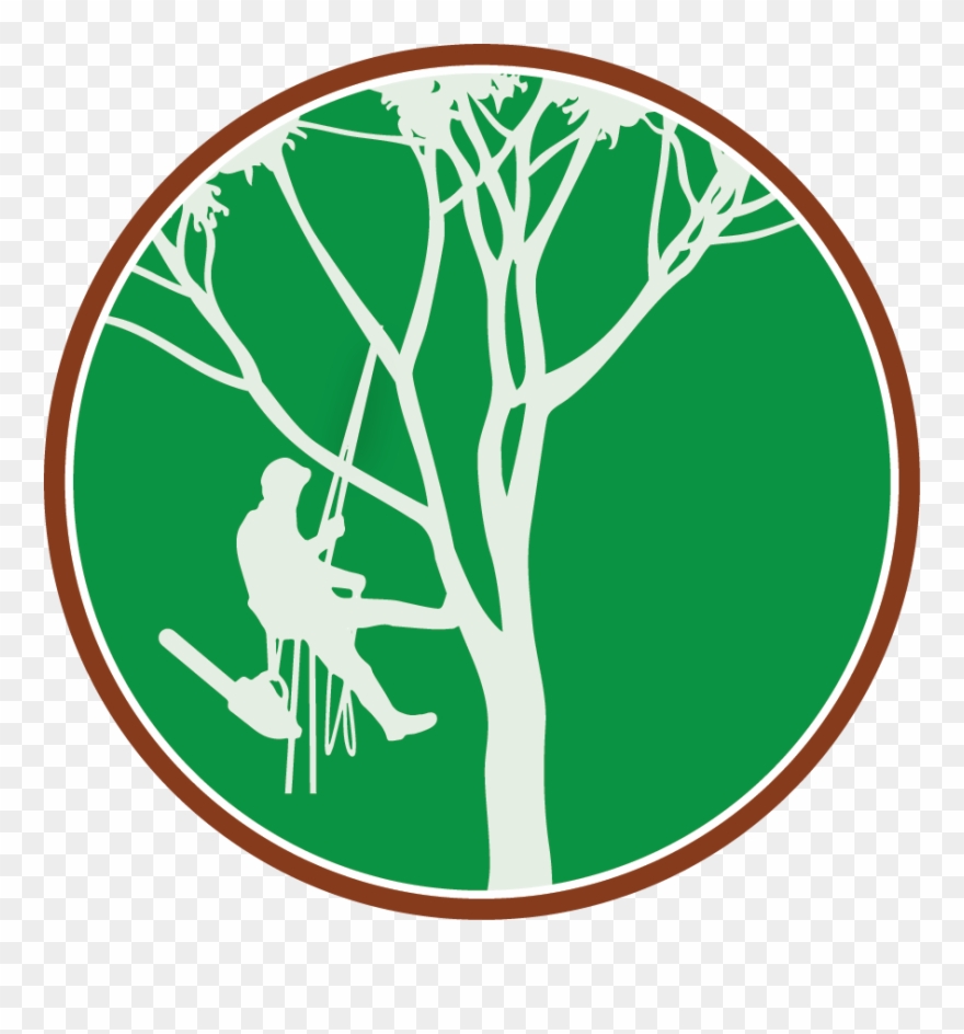 Paul The Tree Climber Icon - Tree Climber Clipart - Png Download