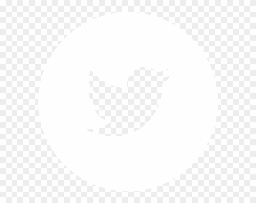Youtube Logo Twitter Logo Linkedin Logo - Twitter White Icon Png Clipart
