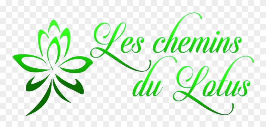 Les Chemins Du Lotus - Basic Drawing Of Flowers Clipart