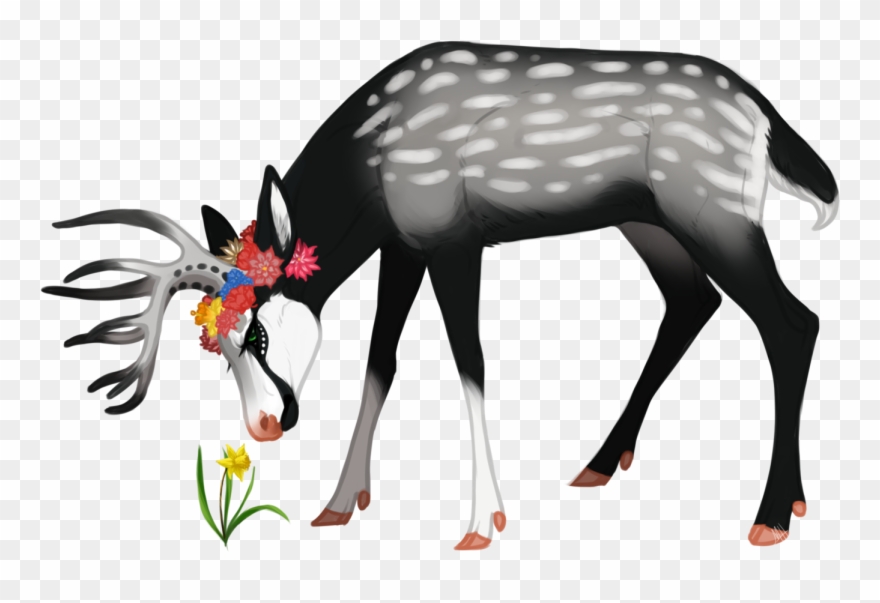 Lyre For Treedancer - Lyre Clipart