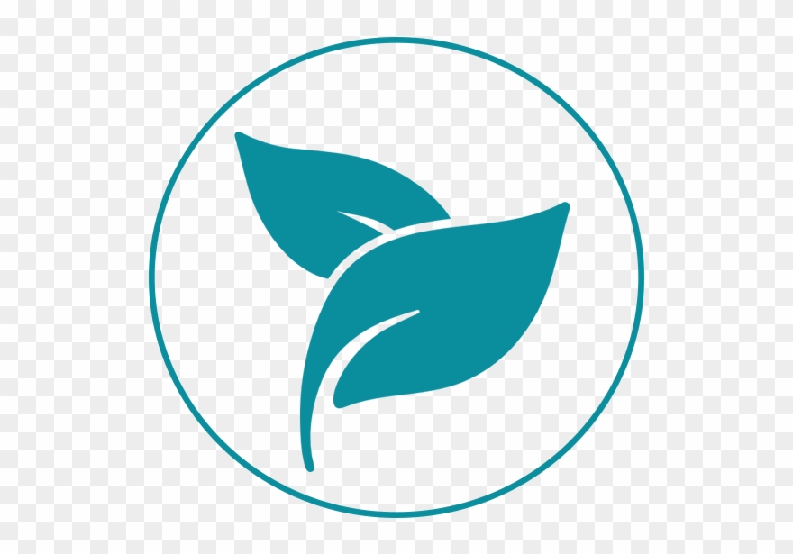 Http - // - Ayurveda Leaves Png Clipart