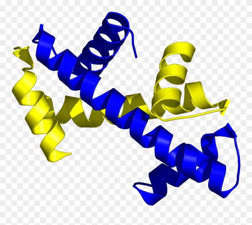 Histone Handshake Clipart