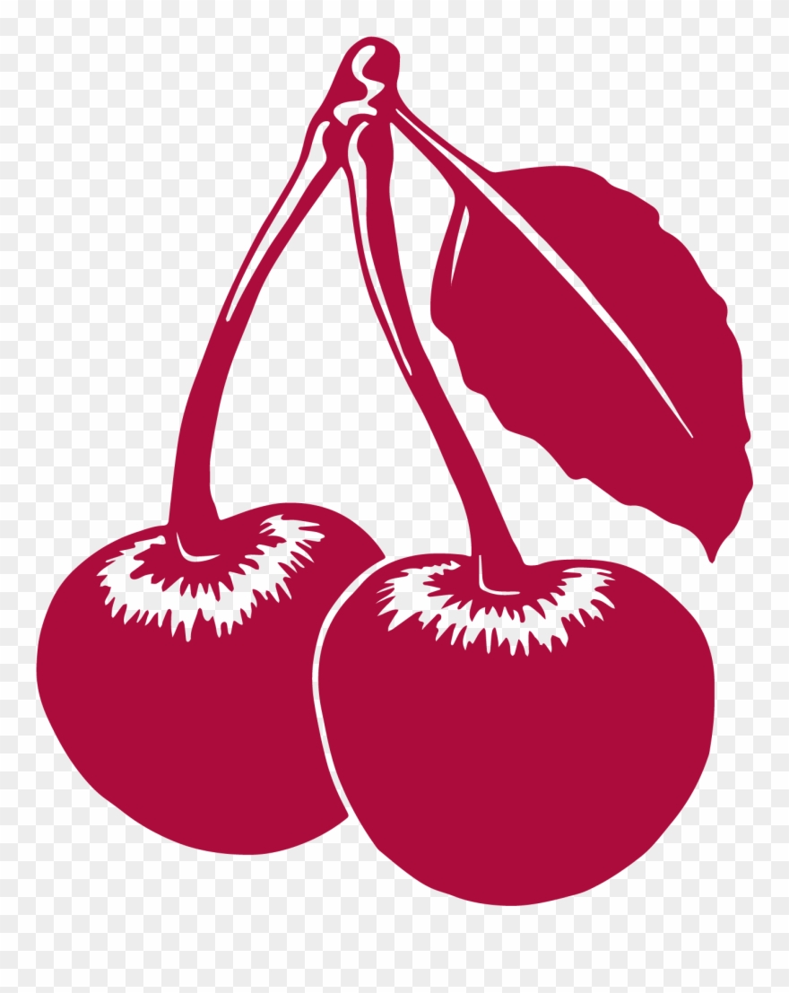 About 7,000 Cherries Grow On A Single Cherry Tree - Cherry Pie Clipart