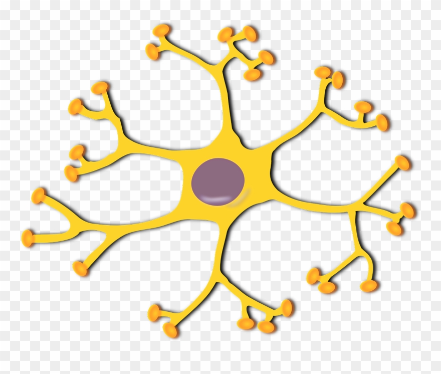 Beginners Ask “how Many Hidden Layers/neurons To Use - Interneuron Diagram Clipart