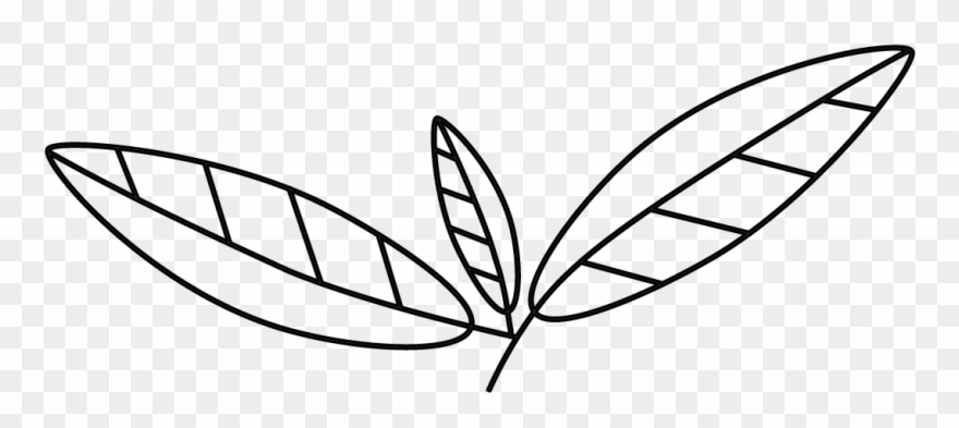 Serious About Living A Healthy Lifestyle Without Dieting - Line Art Clipart