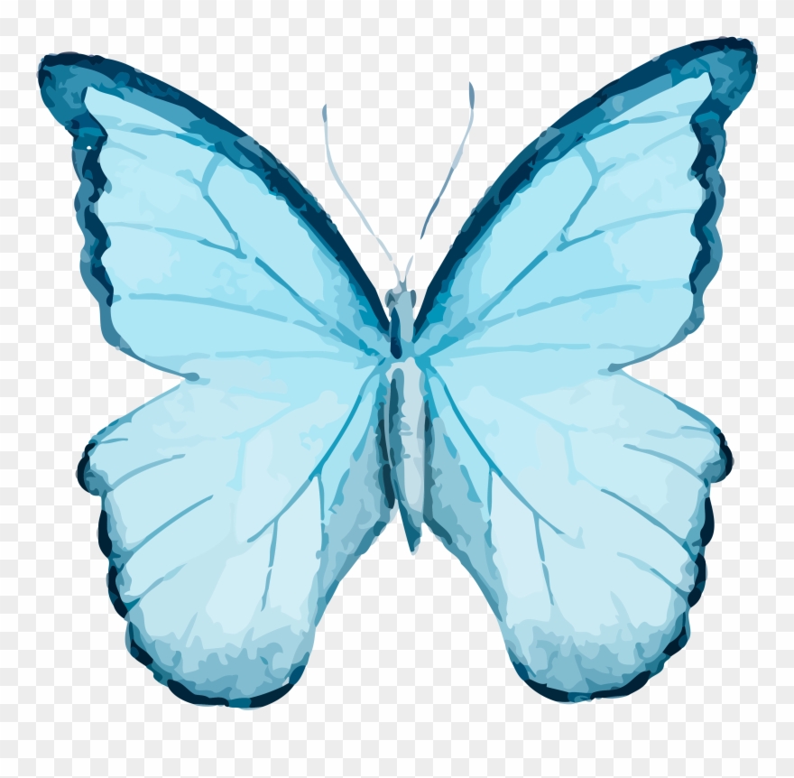 Butterfly 1 Butterfly 2 - Click Wall Art 'welcome Spring - Glaucous Butterfly' Clipart