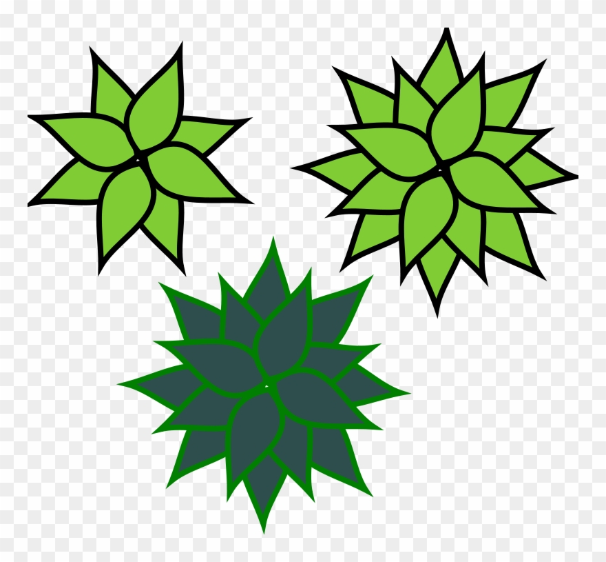 Choose Privacy Week American Library Association Information - Nova Award Let It Grow Clipart