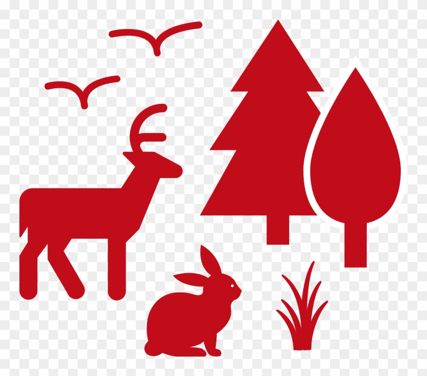 To Protect And Support Rare And Endangered Species - Icon Clipart