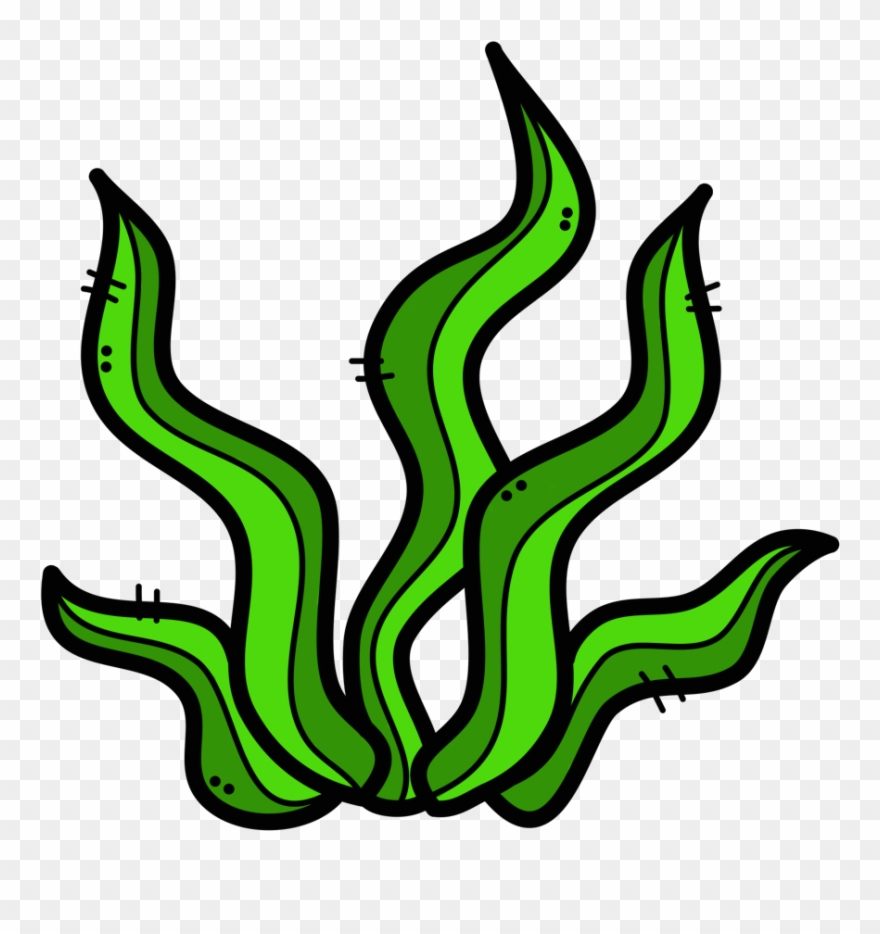 **✿*fauna Marina*✿** School Clipart, Clipart Images, - Julián Is A Mermaid - Png Download