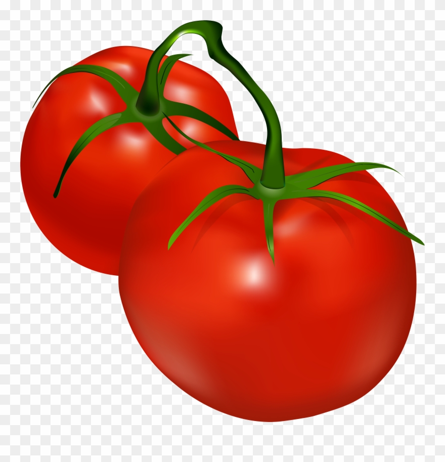 Tomatoes Transparent Png Clip Art