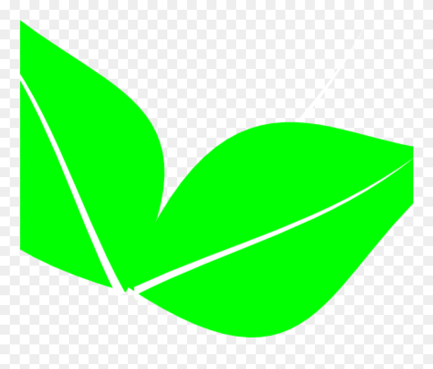 Green Leaf Clipart Green Leaf Clipart Two Leaves Clip - Clip Art - Png Download