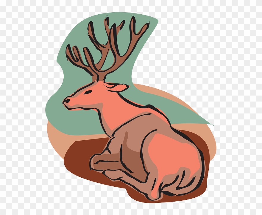 Reindeer Clipart Sleeping - Draw A Sitting Deer - Png Download