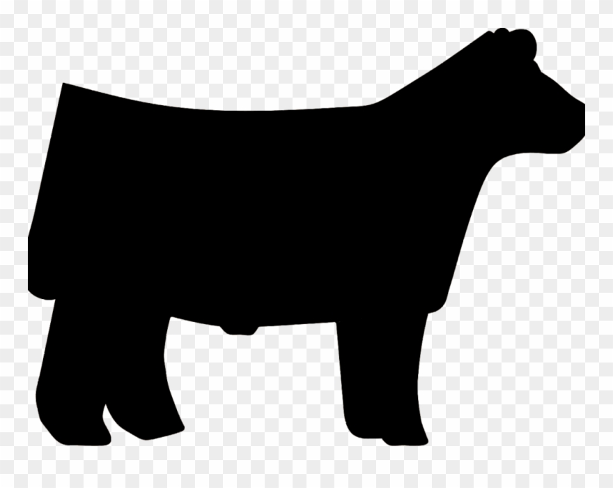 Market Steer Cliparts - Show Steer Silhouette Color - Png Download