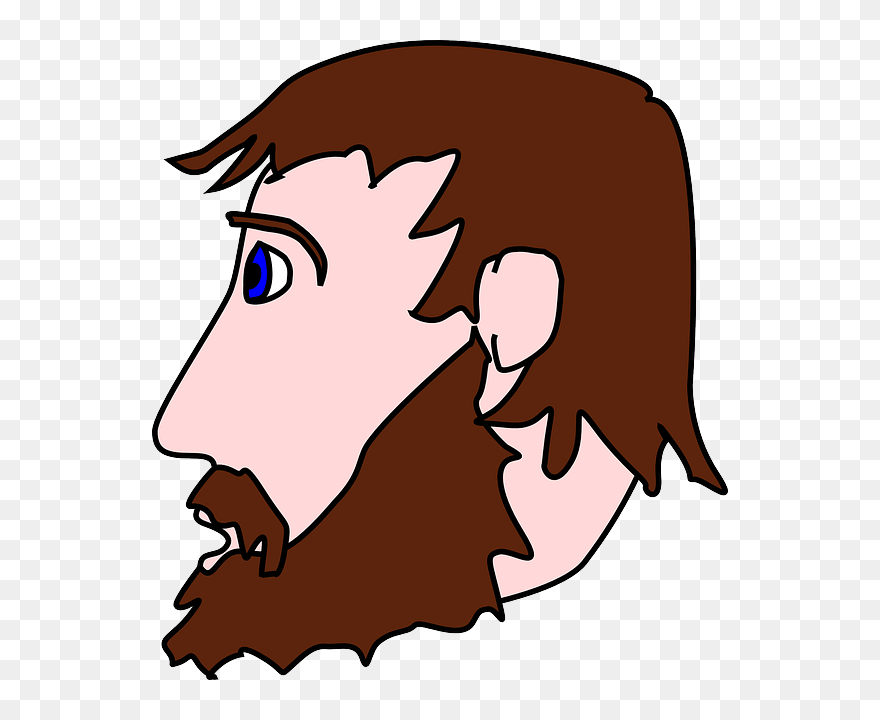 Man Head Side Beard Clip Art At - Cartoon Beard Side View - Png Download
