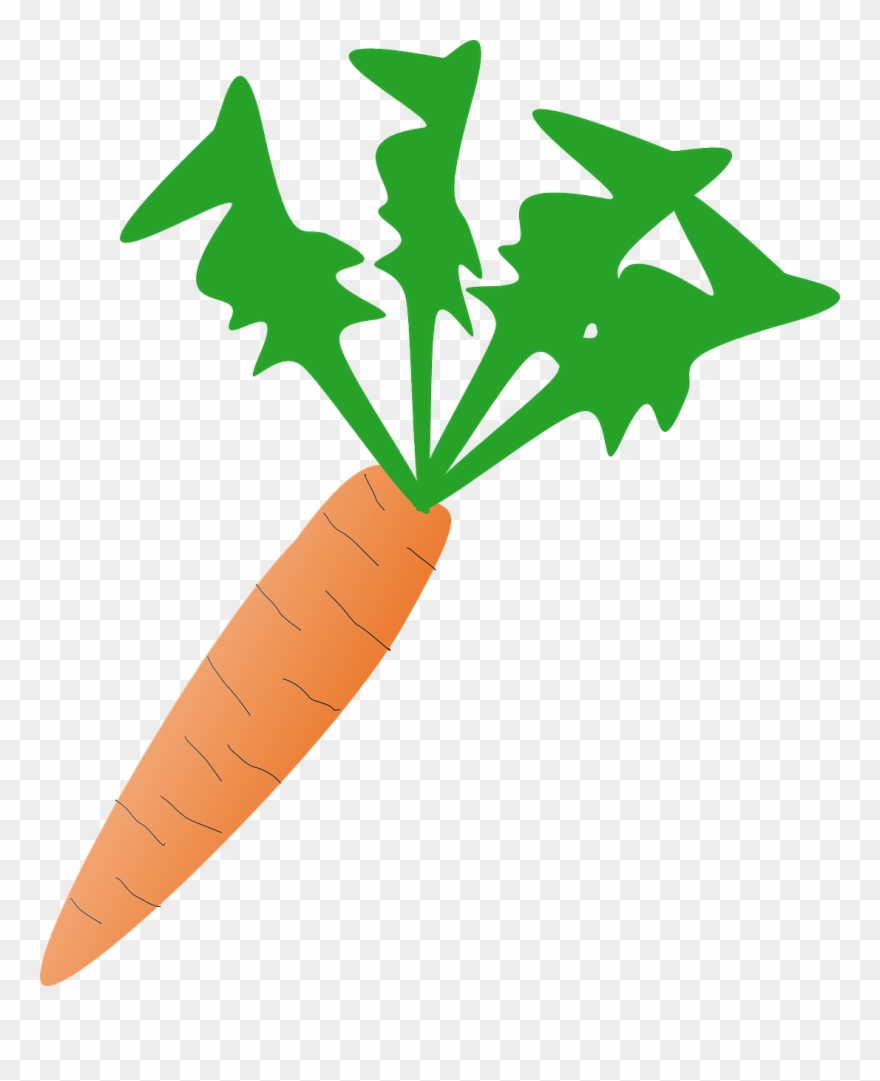 Carrot Clip Art - Png Download