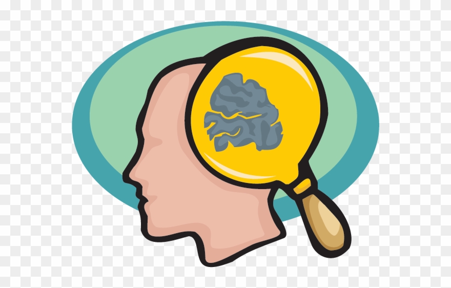 Brain Work Cliparts - Brain Facts Clip Art - Png Download