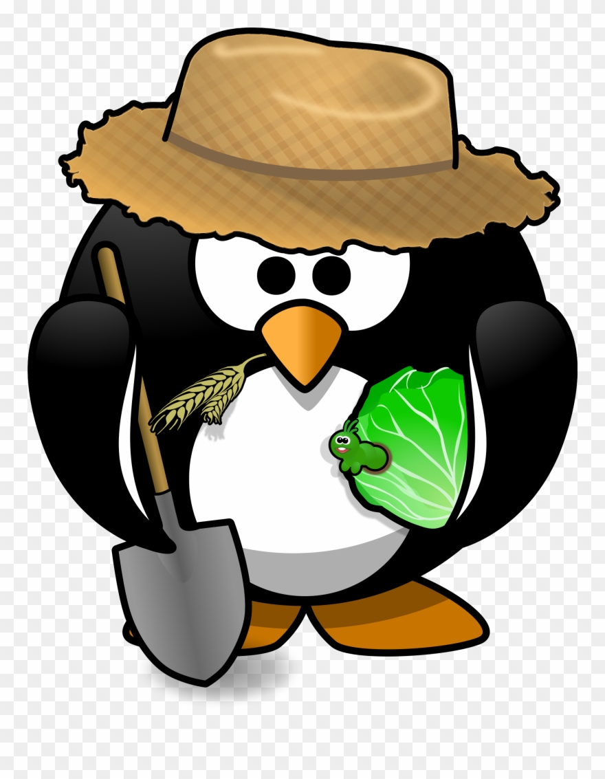 Hat Clipart Farm - Cartoon Penguin - Png Download