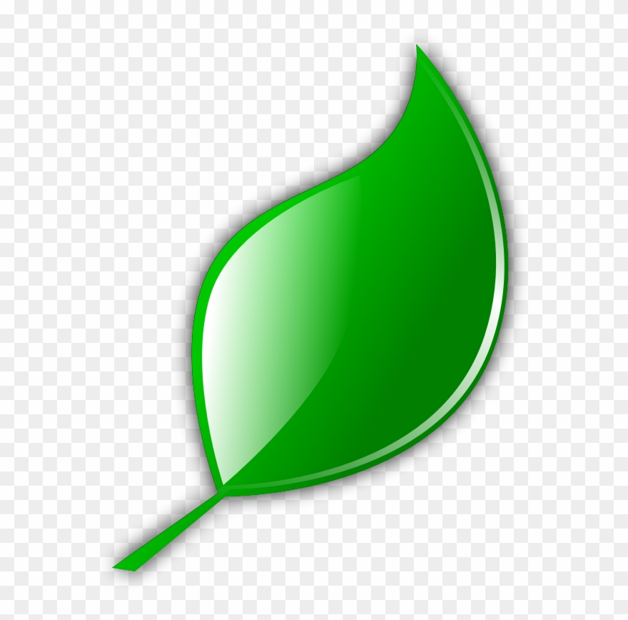 Clipart - Leaf - Cartoon Leaf Transparent Background - Png Download